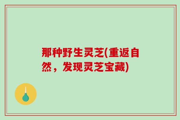 那种野生灵芝(重返自然,发现灵芝宝藏) 那种野生灵芝(重返自然,发现灵芝宝藏)
