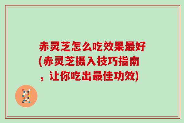赤灵芝怎么吃效果好(赤灵芝摄入技巧指南,让你吃出佳功效) 赤灵芝怎么吃效果好(赤灵芝摄入技巧指南,让你吃出佳功效)