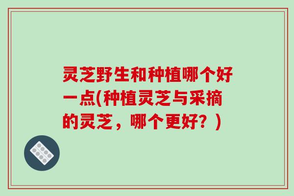 灵芝野生和种植哪个好一点(种植灵芝与采摘的灵芝，哪个更好？)