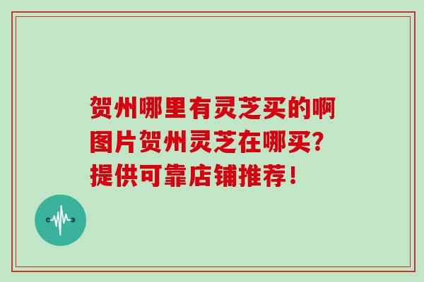 贺州哪里有灵芝买的啊图片贺州灵芝在哪买？提供可靠店铺推荐！