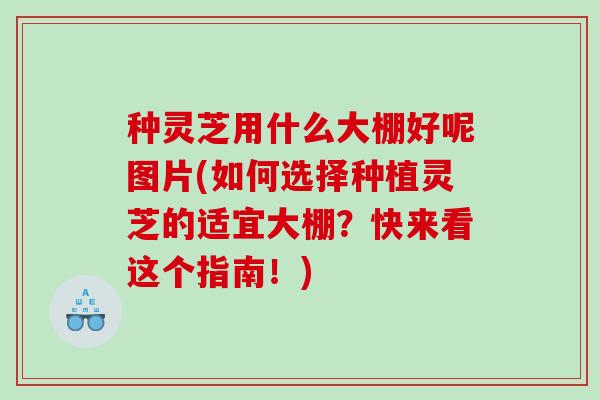 种灵芝用什么大棚好呢图片(如何选择种植灵芝的适宜大棚?快来看这个指南!) 种灵芝用什么大棚好呢图片(如何选择种植灵芝的适宜大棚?快来看这个指南!)