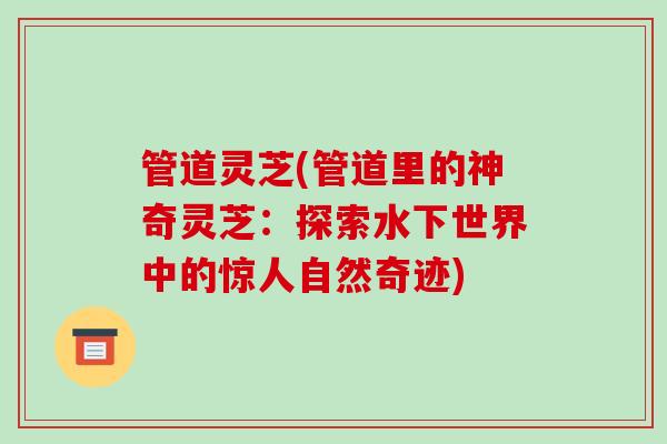 管道灵芝(管道里的神奇灵芝:探索水下世界中的惊人自然奇迹) 管道灵芝(管道里的神奇灵芝:探索水下世界中的惊人自然奇迹)