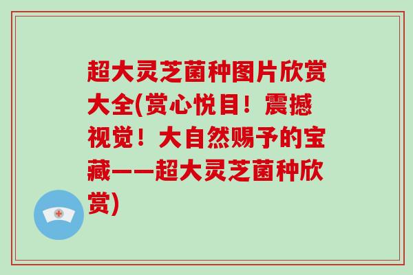 超大灵芝菌种图片欣赏大全(赏心悦目！震撼视觉！大自然赐予的宝藏——超大灵芝菌种欣赏)