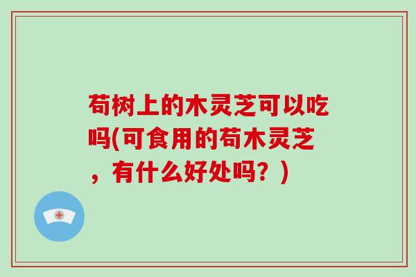 苟树上的木灵芝可以吃吗(可食用的苟木灵芝，有什么好处吗？)