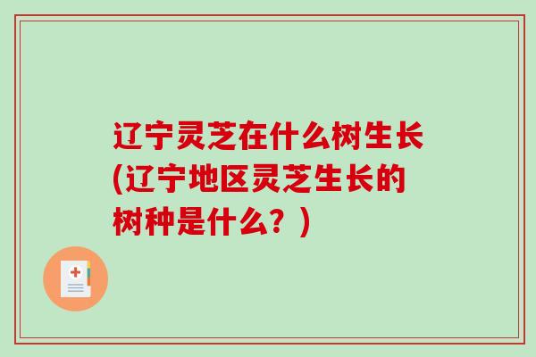 辽宁灵芝在什么树生长(辽宁地区灵芝生长的树种是什么？)