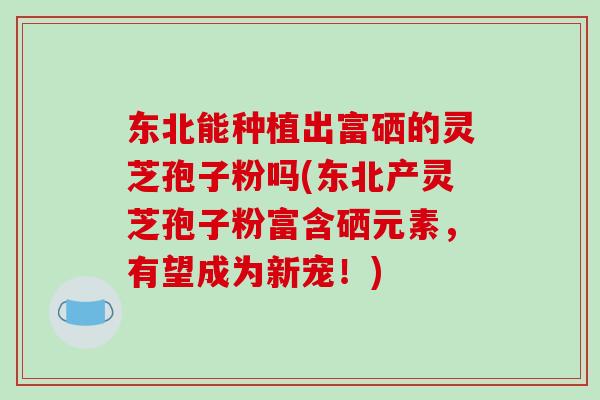 东北能种植出富硒的灵芝孢子粉吗(东北产灵芝孢子粉富含硒元素，有望成为新宠！)