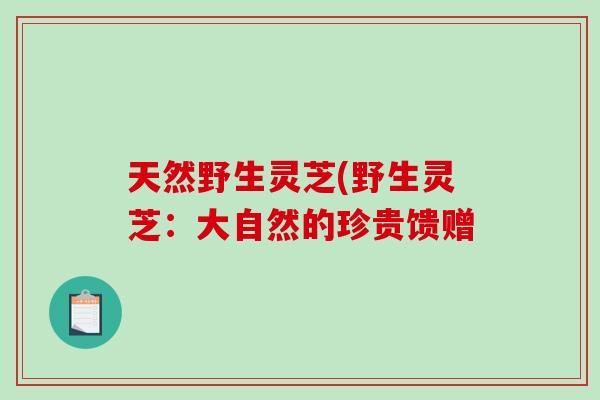 天然野生灵芝(野生灵芝:大自然的珍贵馈赠 天然野生灵芝(野生灵芝:大自然的珍贵馈赠