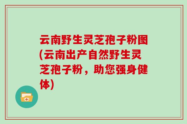 云南野生灵芝孢子粉图(云南出产自然野生灵芝孢子粉，助您强身健体)