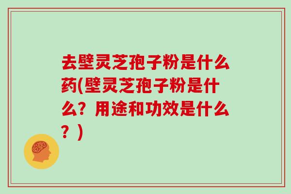 去壁灵芝孢子粉是什么药(壁灵芝孢子粉是什么？用途和功效是什么？)
