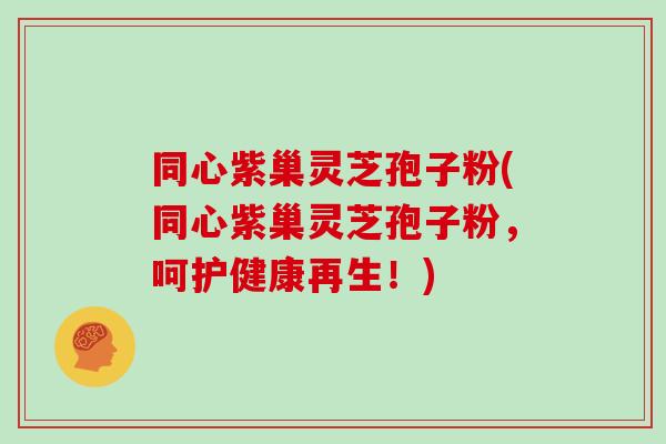 同心紫巢灵芝孢子粉(同心紫巢灵芝孢子粉，呵护健康再生！)