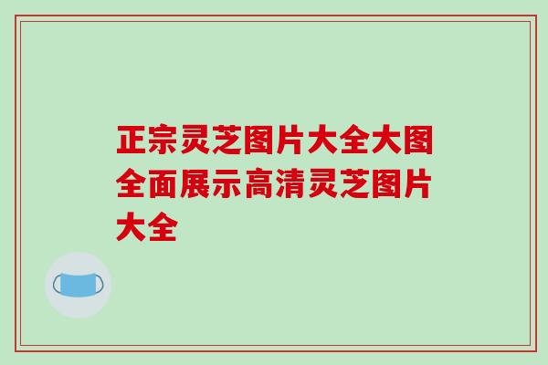 正宗灵芝图片大全大图全面展示高清灵芝图片大全