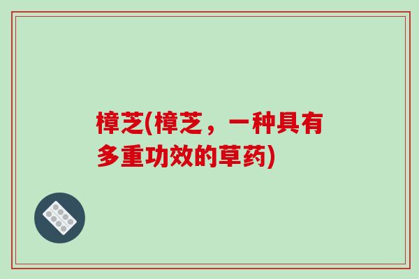 樟芝(樟芝，一种具有多重功效的草药)