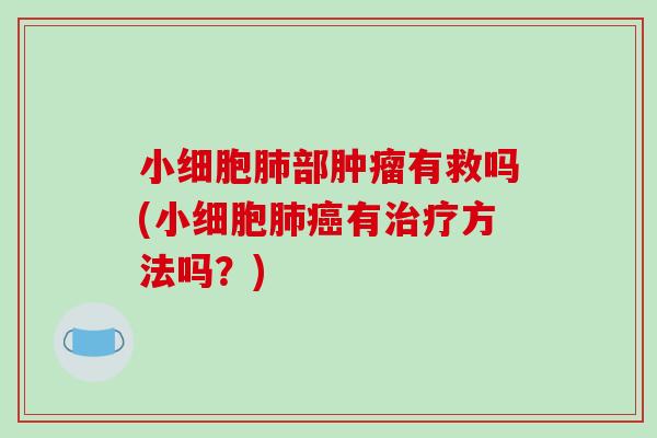 小细胞部有救吗(小细胞有方法吗？)
