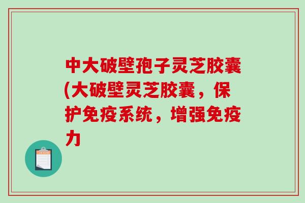 中大破壁孢子灵芝胶囊(大破壁灵芝胶囊，保护免疫系统，增强免疫力
