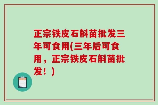 正宗铁皮石斛苗批发三年可食用(三年后可食用，正宗铁皮石斛苗批发！)