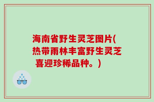 海南省野生灵芝图片(热带雨林丰富野生灵芝 喜迎珍稀品种。)