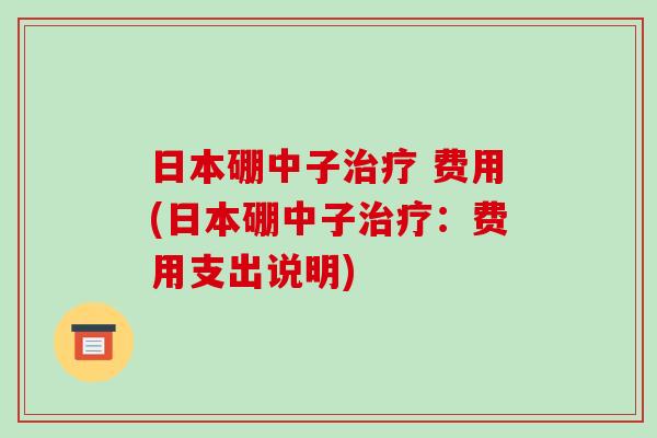 日本硼中子 费用(日本硼中子：费用支出说明)