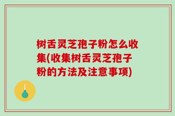 树舌灵芝孢子粉怎么收集(收集树舌灵芝孢子粉的方法及注意事项)