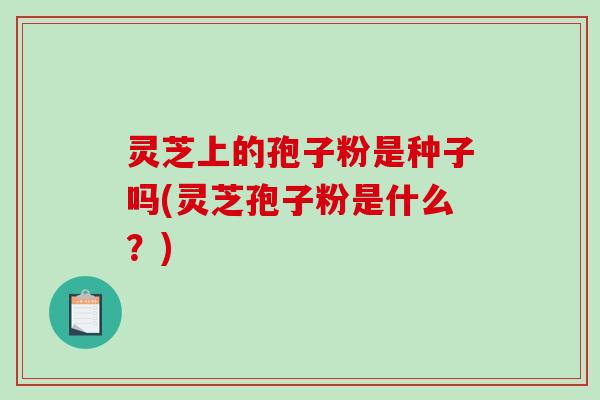灵芝上的孢子粉是种子吗(灵芝孢子粉是什么?) 灵芝上的孢子粉是种子吗(灵芝孢子粉是什么?)