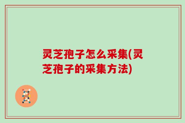 灵芝孢子怎么采集(灵芝孢子的采集方法)