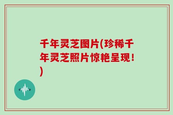千年灵芝图片(珍稀千年灵芝照片惊艳呈现！)