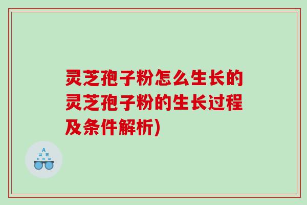 灵芝孢子粉怎么生长的灵芝孢子粉的生长过程及条件解析)