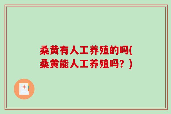 桑黄有人工养殖的吗(桑黄能人工养殖吗？)