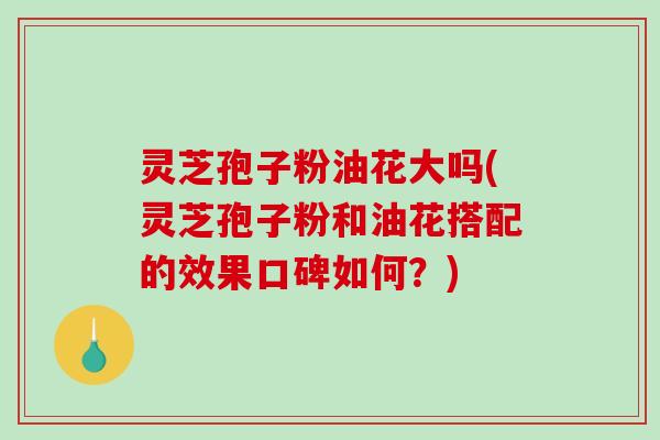 灵芝孢子粉油花大吗(灵芝孢子粉和油花搭配的效果口碑如何？)