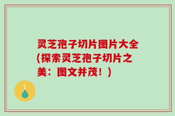 灵芝孢子切片图片大全(探索灵芝孢子切片之美：图文并茂！)