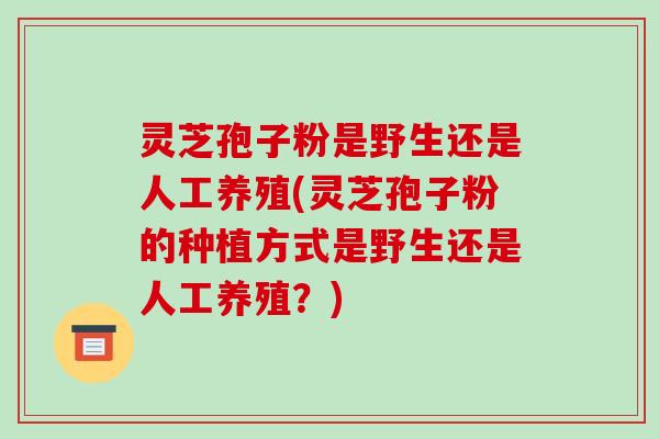 灵芝孢子粉是野生还是人工养殖(灵芝孢子粉的种植方式是野生还是人工养殖?) 灵芝孢子粉是野生还是人工养殖(灵芝孢子粉的种植方式是野生还是人工养殖?)