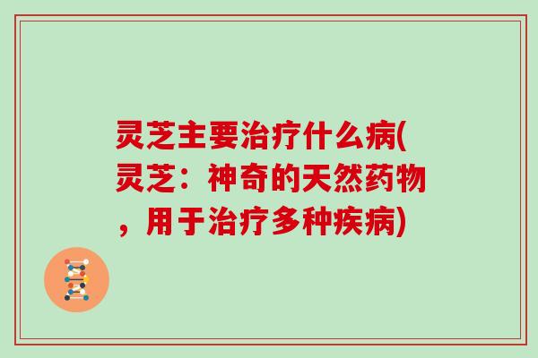 灵芝主要什么(灵芝：神奇的天然，用于多种)