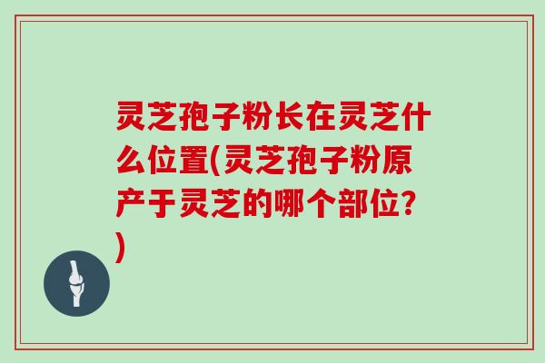 灵芝孢子粉长在灵芝什么位置(灵芝孢子粉原产于灵芝的哪个部位？)