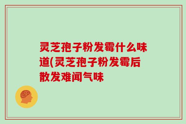 灵芝孢子粉发霉什么味道(灵芝孢子粉发霉后散发难闻气味 灵芝孢子粉发霉什么味道(灵芝孢子粉发霉后散发难闻气味