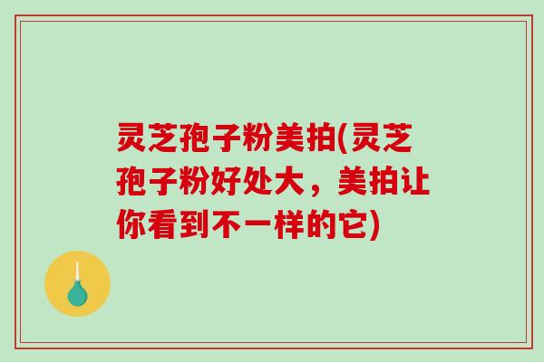 灵芝孢子粉美拍(灵芝孢子粉好处大,美拍让你看到不一样的它) 灵芝孢子粉美拍(灵芝孢子粉好处大,美拍让你看到不一样的它)
