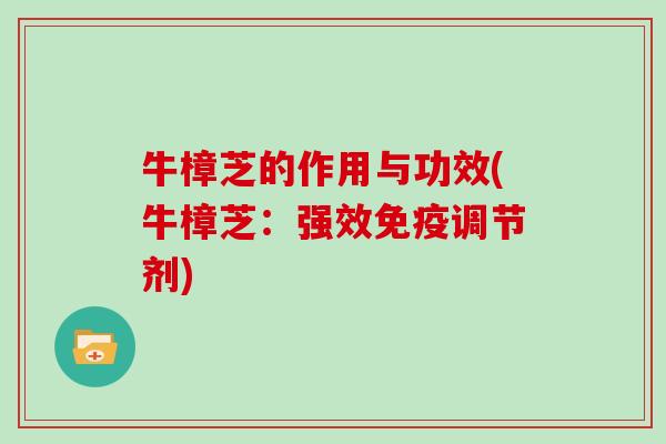 牛樟芝的作用与功效(牛樟芝：强效免疫调节剂)