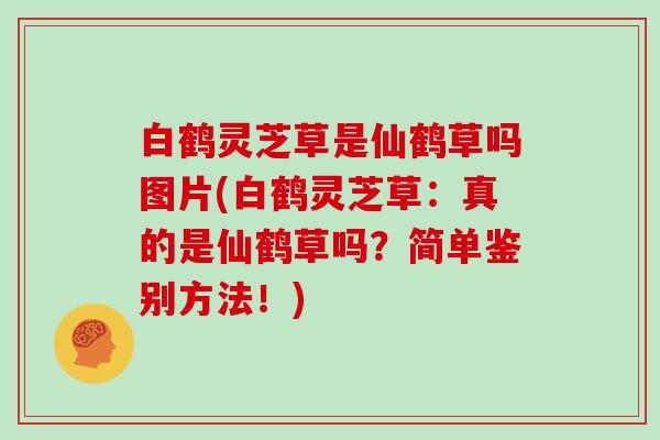白鹤灵芝草是仙鹤草吗图片(白鹤灵芝草：真的是仙鹤草吗？简单鉴别方法！)