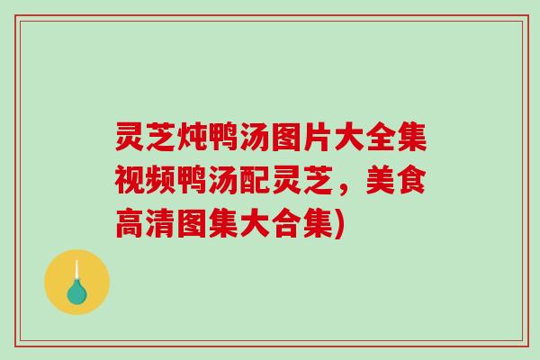 灵芝炖鸭汤图片大全集视频鸭汤配灵芝，美食高清图集大合集)