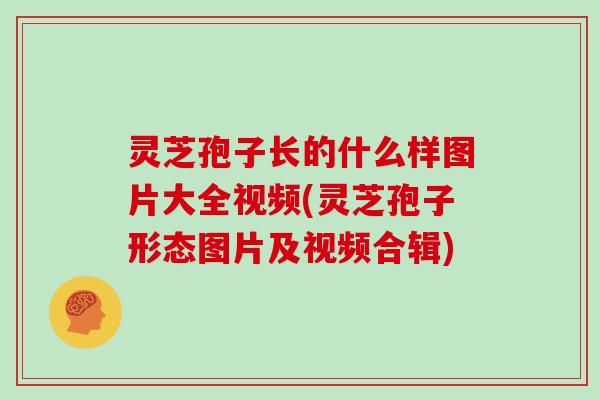 灵芝孢子长的什么样图片大全视频(灵芝孢子形态图片及视频合辑) 灵芝孢子长的什么样图片大全视频(灵芝孢子形态图片及视频合辑)