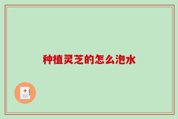 种植灵芝的怎么泡水
