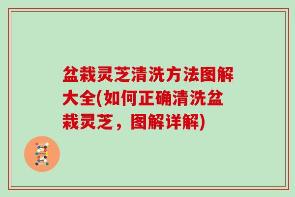 盆栽灵芝清洗方法图解大全(如何正确清洗盆栽灵芝，图解详解)