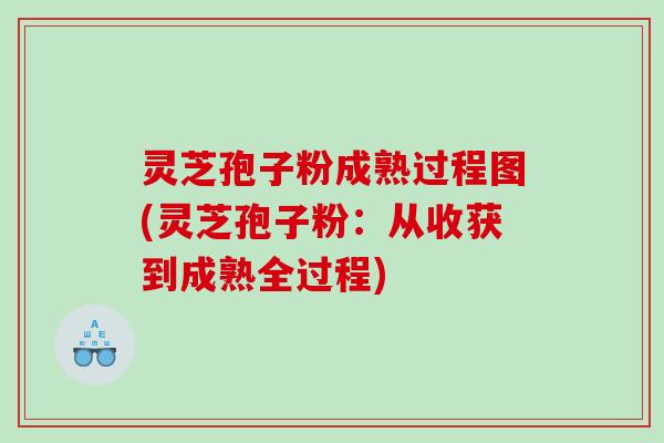 灵芝孢子粉成熟过程图(灵芝孢子粉：从收获到成熟全过程)