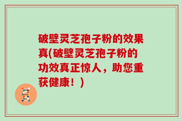 破壁灵芝孢子粉的效果真(破壁灵芝孢子粉的功效真正惊人,助您重获健康!) 破壁灵芝孢子粉的效果真(破壁灵芝孢子粉的功效真正惊人,助您重获健康!)