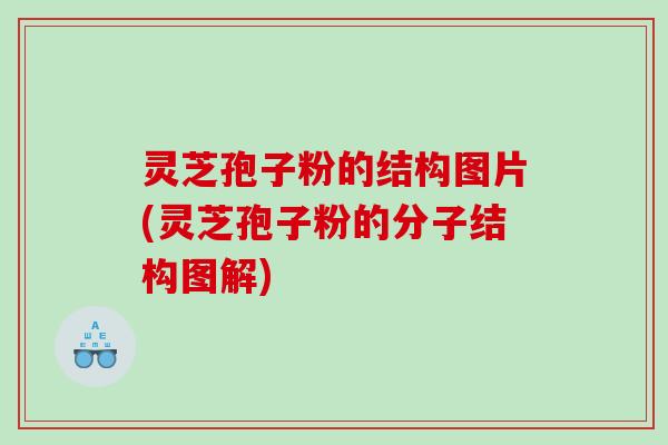 灵芝孢子粉的结构图片(灵芝孢子粉的分子结构图解)