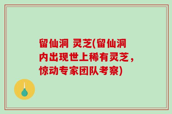 留仙洞 灵芝(留仙洞内出现世上稀有灵芝,惊动专家团队考察) 留仙洞 灵芝(留仙洞内出现世上稀有灵芝,惊动专家团队考察)