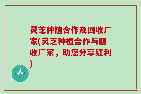 灵芝种植合作及回收厂家(灵芝种植合作与回收厂家,助您分享红利) 灵芝种植合作及回收厂家(灵芝种植合作与回收厂家,助您分享红利)