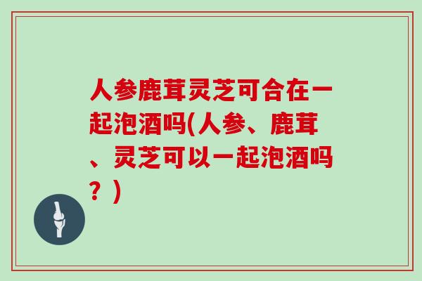 人参鹿茸灵芝可合在一起泡酒吗(人参、鹿茸、灵芝可以一起泡酒吗?) 人参鹿茸灵芝可合在一起泡酒吗(人参、鹿茸、灵芝可以一起泡酒吗?)