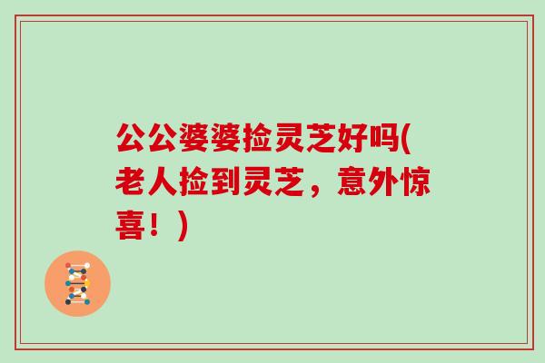 公公婆婆捡灵芝好吗(老人捡到灵芝，意外惊喜！)