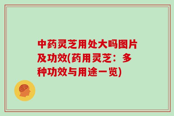 灵芝用处大吗图片及功效(药用灵芝：多种功效与用途一览)