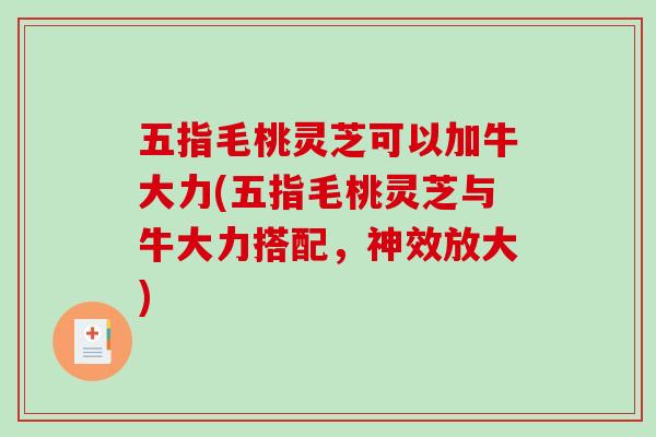 五指毛桃灵芝可以加牛大力(五指毛桃灵芝与牛大力搭配，神效放大)