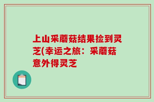 上山采蘑菇结果捡到灵芝(幸运之旅：采蘑菇意外得灵芝